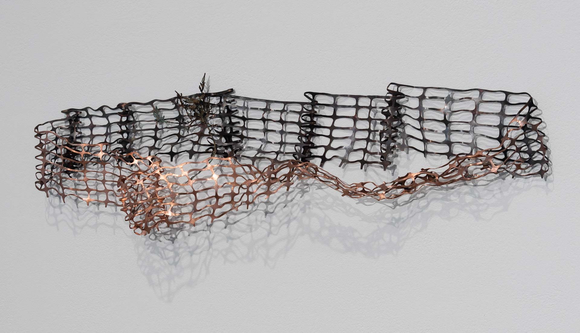 Overlooked Installation exhibits_meandering by Natalie Macellaio